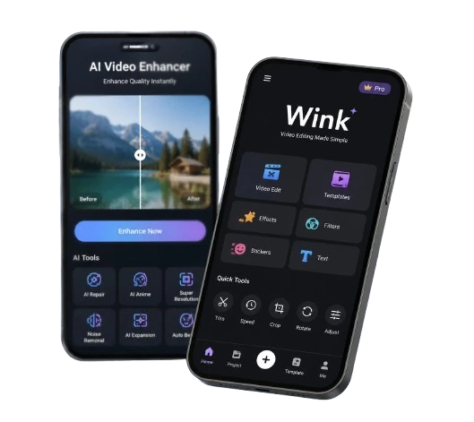 Wink Mod Apk Wink Mod GEEK APK mobile interface